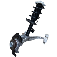 Complete Strut &amp; Shock (Passenger Side / Rear)